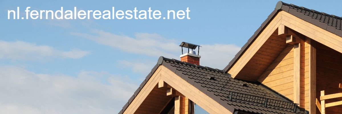 nl.ferndalerealestate.net